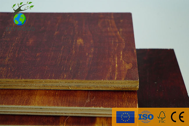 Glue Treated Plywood