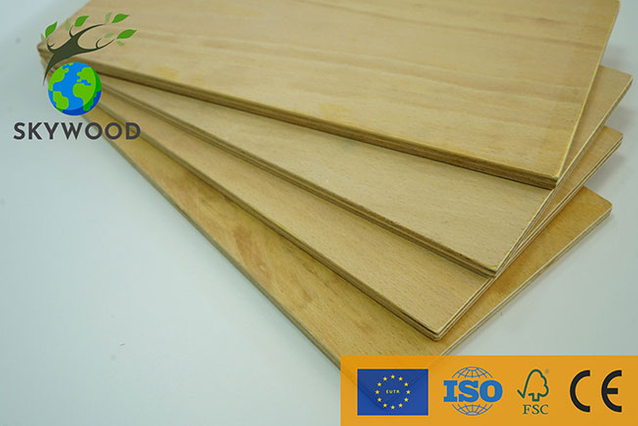 Beech Plywood