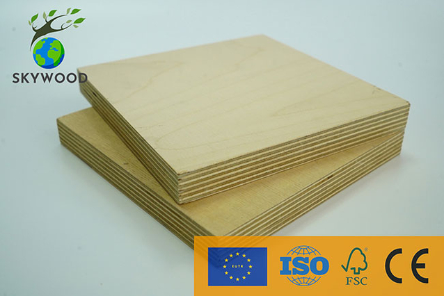 Birch Plywood