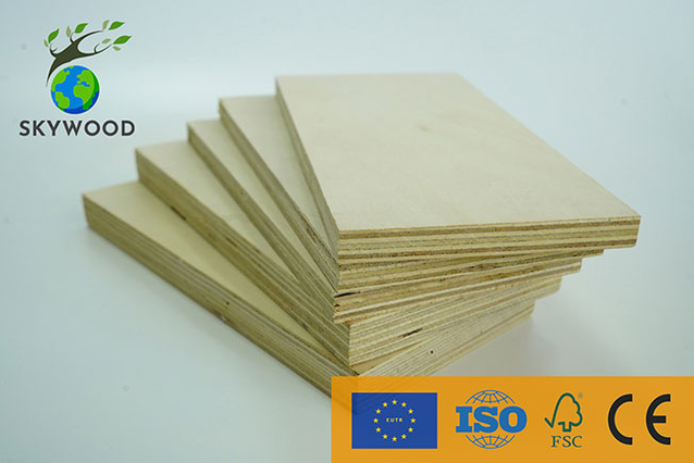 Poplar Plywood